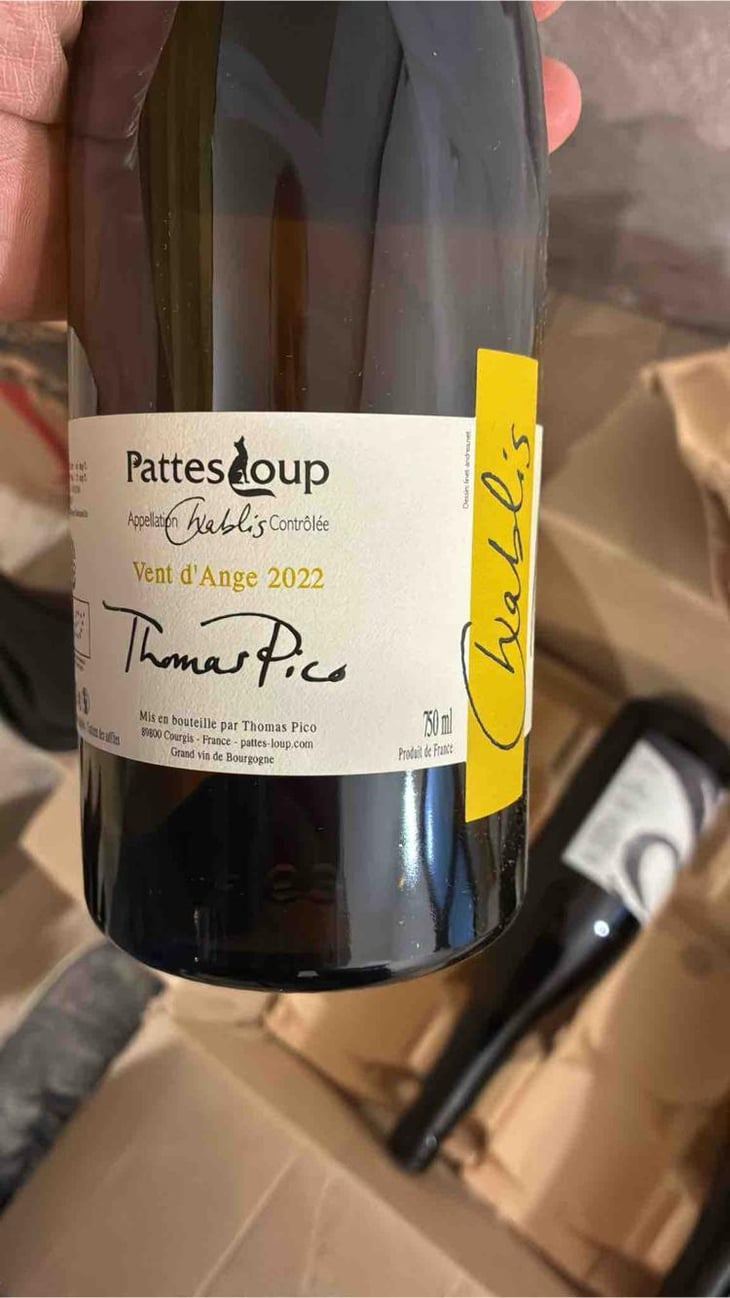 Vent d'Anges - Domaine Pattes Loup - Thomas Pico 