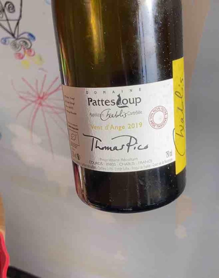 Vent d'Anges - Domaine Pattes Loup - Thomas Pico 