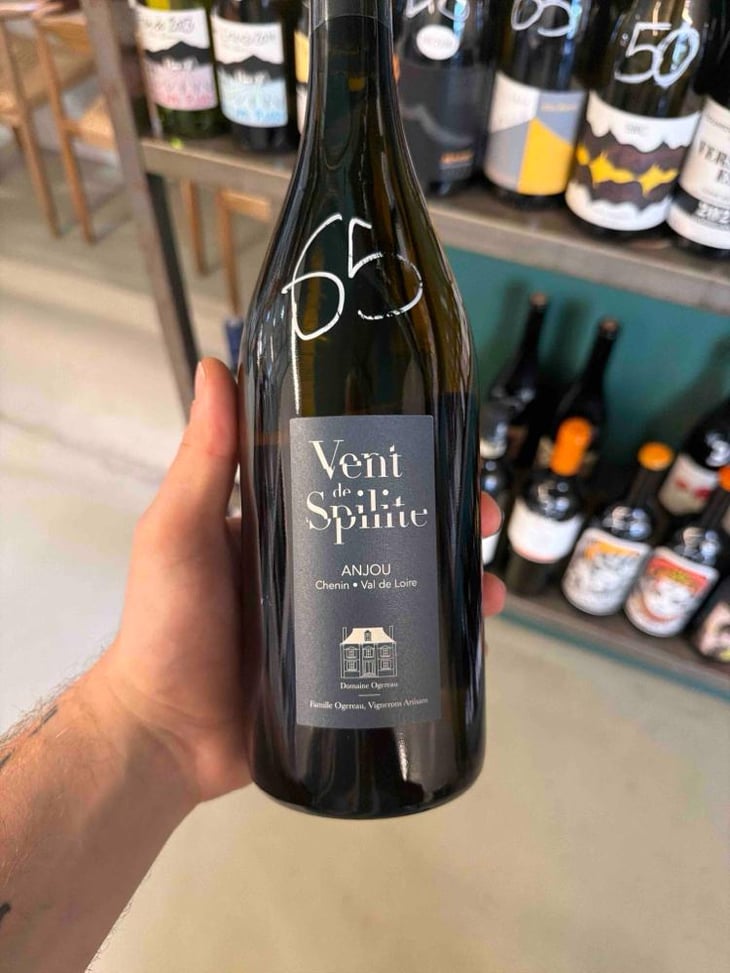 Vent de Spilite - Domaine Ogereau - Vincent & Emmanuel Ogereau 