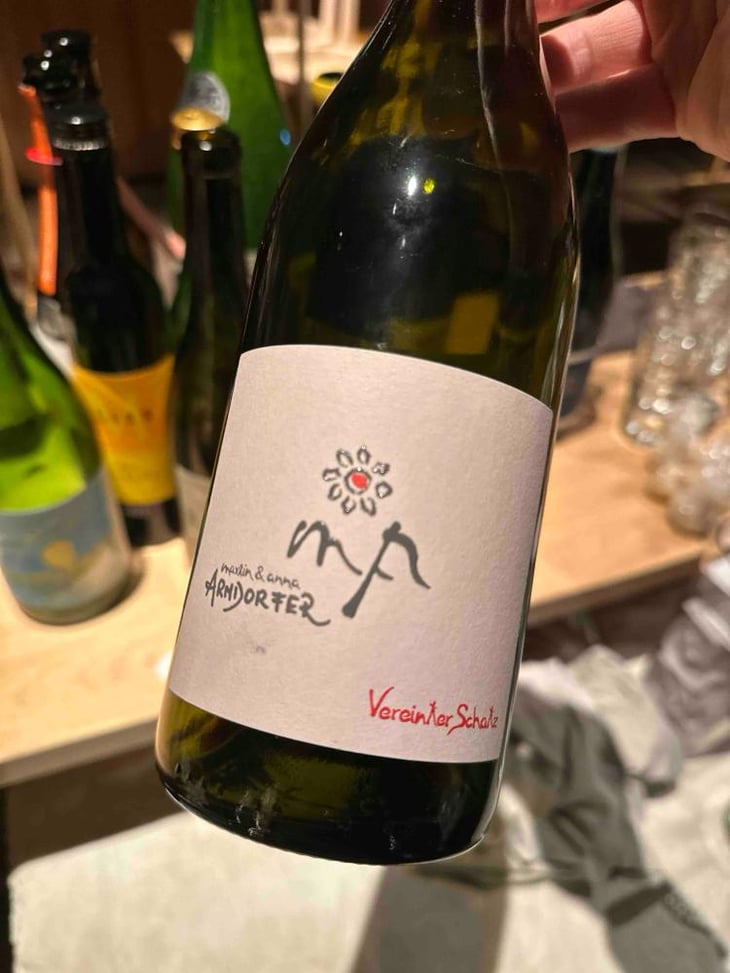 Vereinter Schatz Red - Weingut Martin & Anna Arndorfer - Martin & Anna Arndorfer -2021