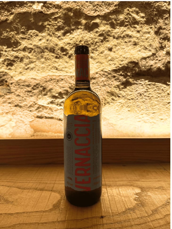 Vernaccia 2023 - Azienda Vitivinicola Pippia - Stefano Pippia 