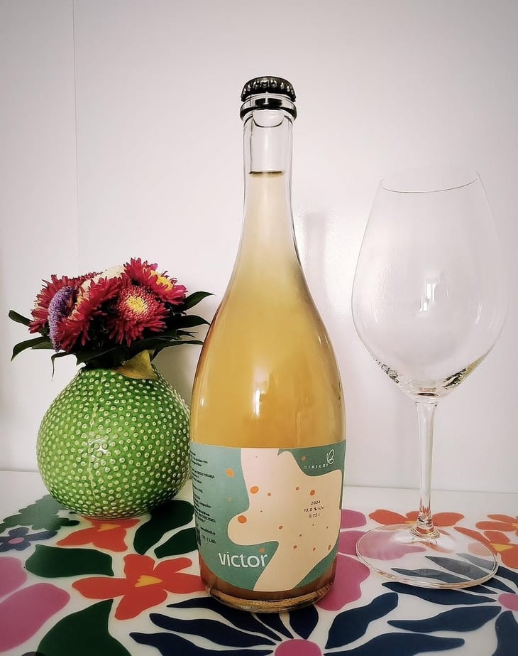 Victor - Bikicki Winery - Djordje Bikicki 
