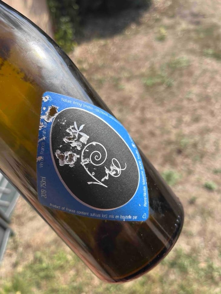 Vie - Clos Massotte - Pierre-Nicolas Massotte 