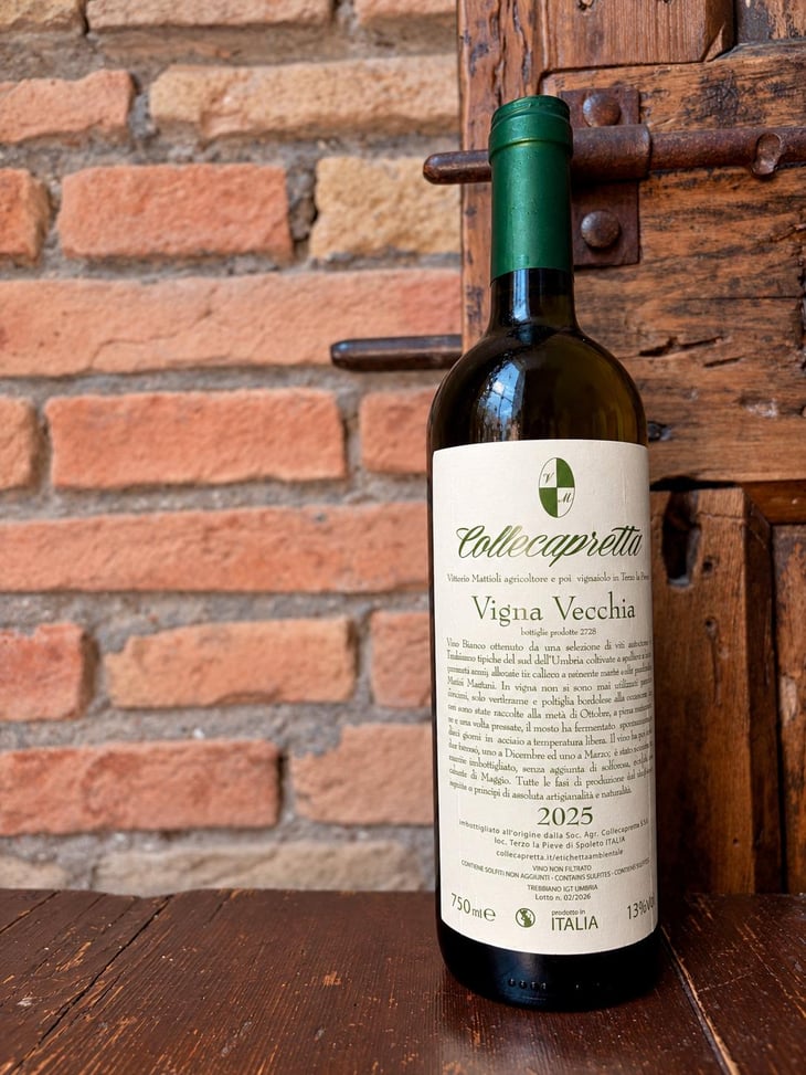 Vigna Vecchia - Collecapretta - Anna & Vittorio Mattioli 