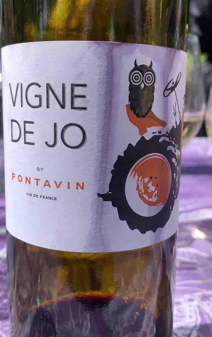 vigne de jo - Fontavin - Hélène Et Michel Chouvet 