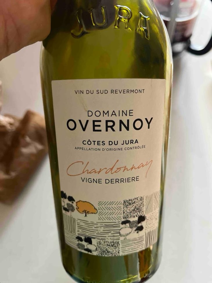 Vigne Derrière - Domaine Overnoy - Guillaume Overnoy 