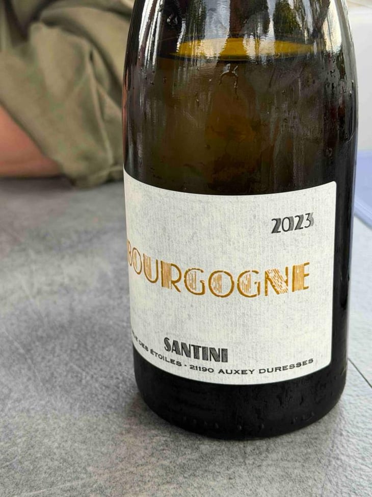 Vin de Bourgogne - Santini Collective - Christopher & Patrick Santini -2023