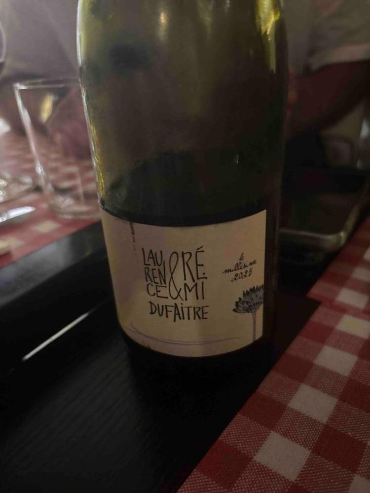 Vin de France 2018 - Domaine de Botheland - Rémi Dufaitre & Laurence Liatard 