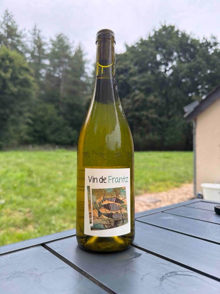 Vin de Frantz - Un Saumon Dans la Loire - Marie Thibault & Frantz Saumon 