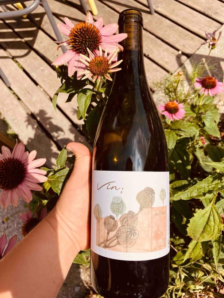 Vin ; - Maxime Poulat Vins D'Altitude - Maxime Poulat -2025