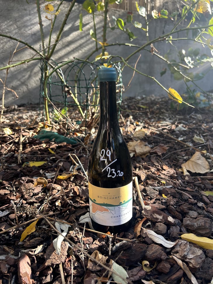 Vin Orange - Boischampt - Antoine Romero 