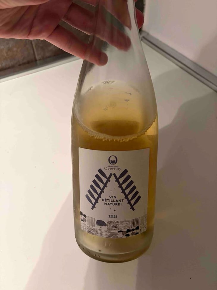 Vin Petillant Naturel - Domaine Overnoy - guillaume-overnoy -2021