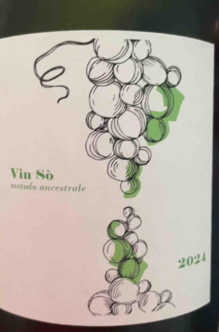 Vin sò - Versante - Luca Baroni & Marika Giusti -2024