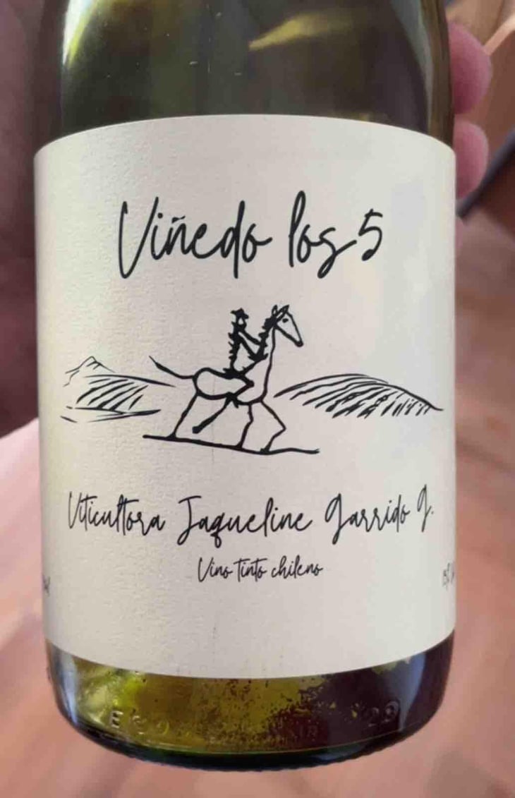 Viñedo los 5 - Viñedo los 5 - Jaqueline Garrido -2024