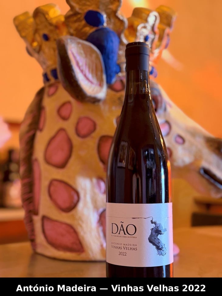 Vinhas Velhas Tinto - Dão, Portugal - António Madeira 