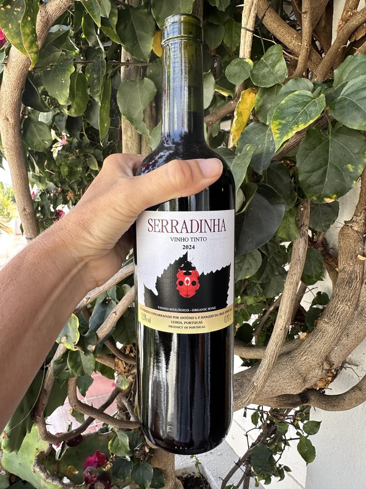 Vinho Tinto - Quinta da Serradinha - António Marques da Cruz -2018