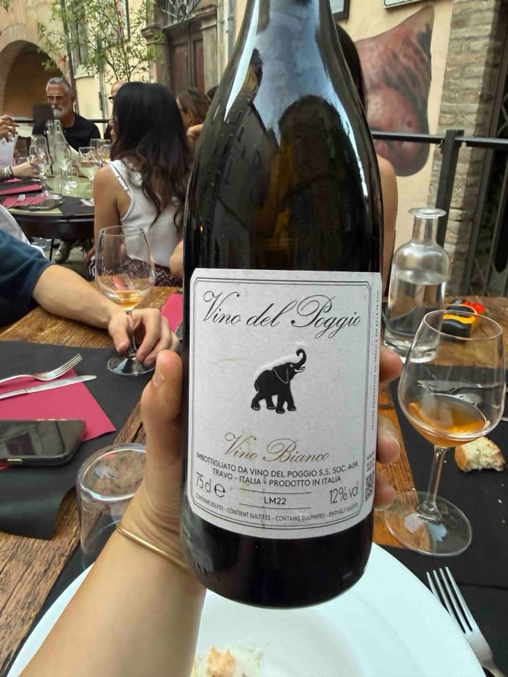 Vino Bianco - Vino del Poggio - Andrea Cervini 