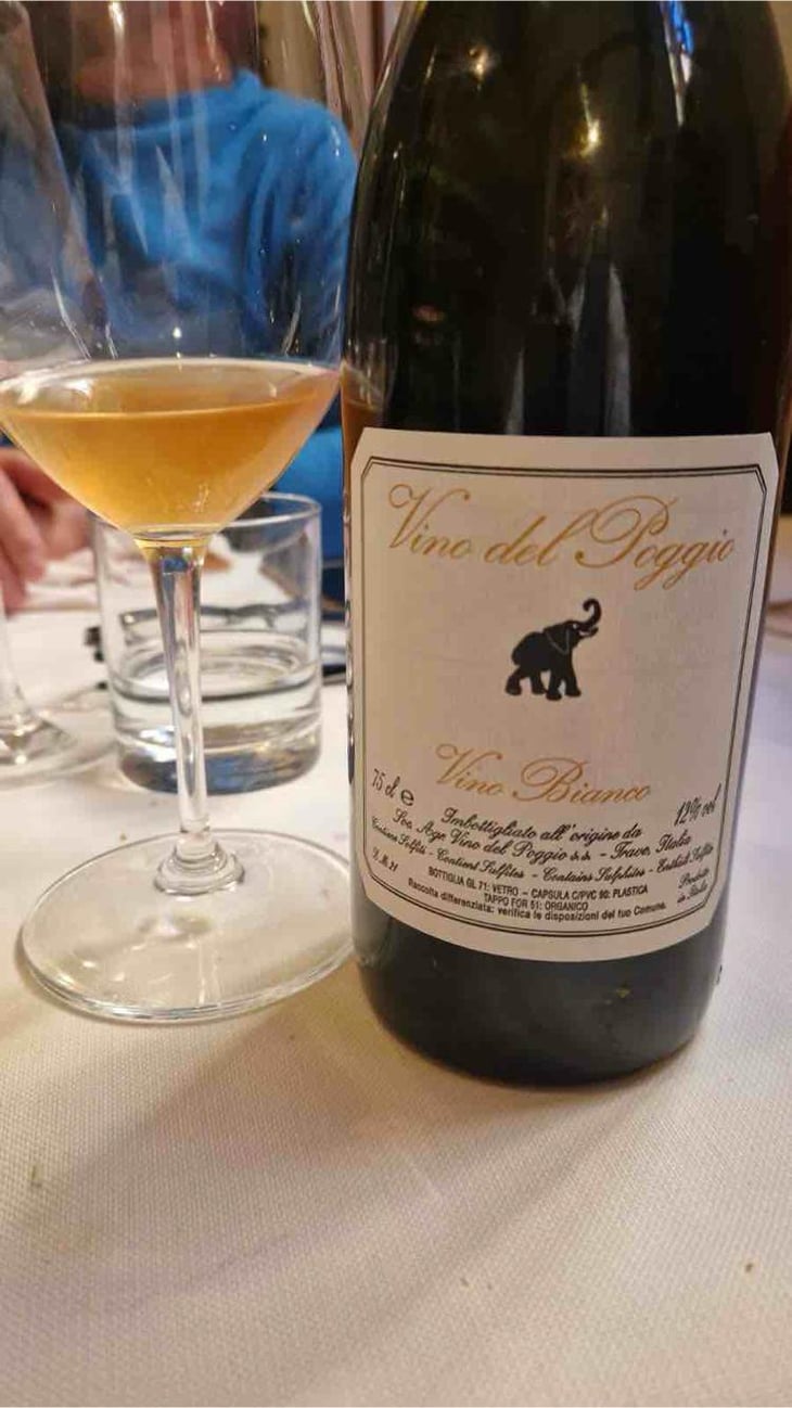 Vino Bianco - Vino del Poggio - Andrea Cervini 