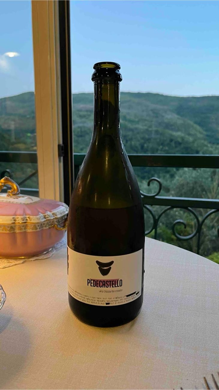 Vino Rosato Frizzante - Pedecastello - Alex Della Vecchia 
