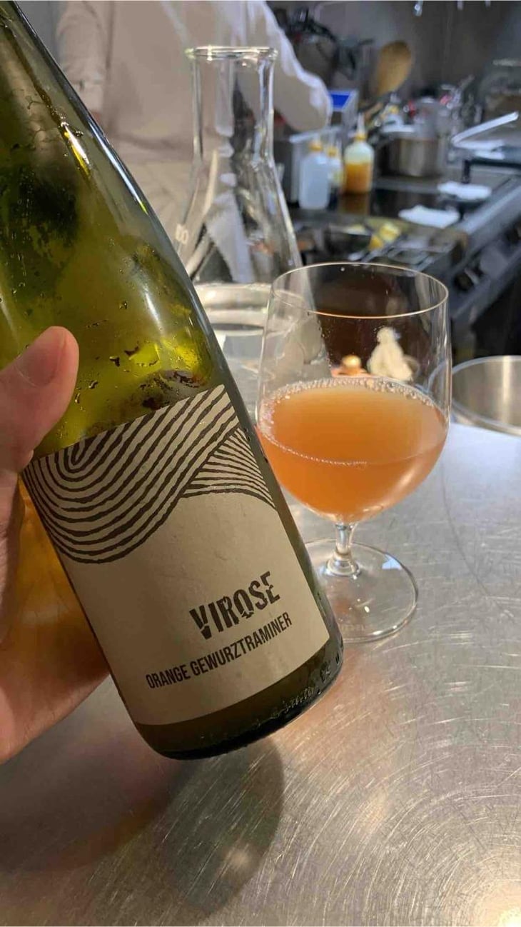 Virose - Léo Dirringer - Léo Dirringer 