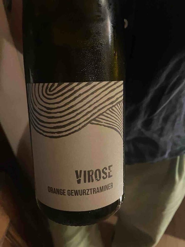 Virose - Léo Dirringer - Léo Dirringer 