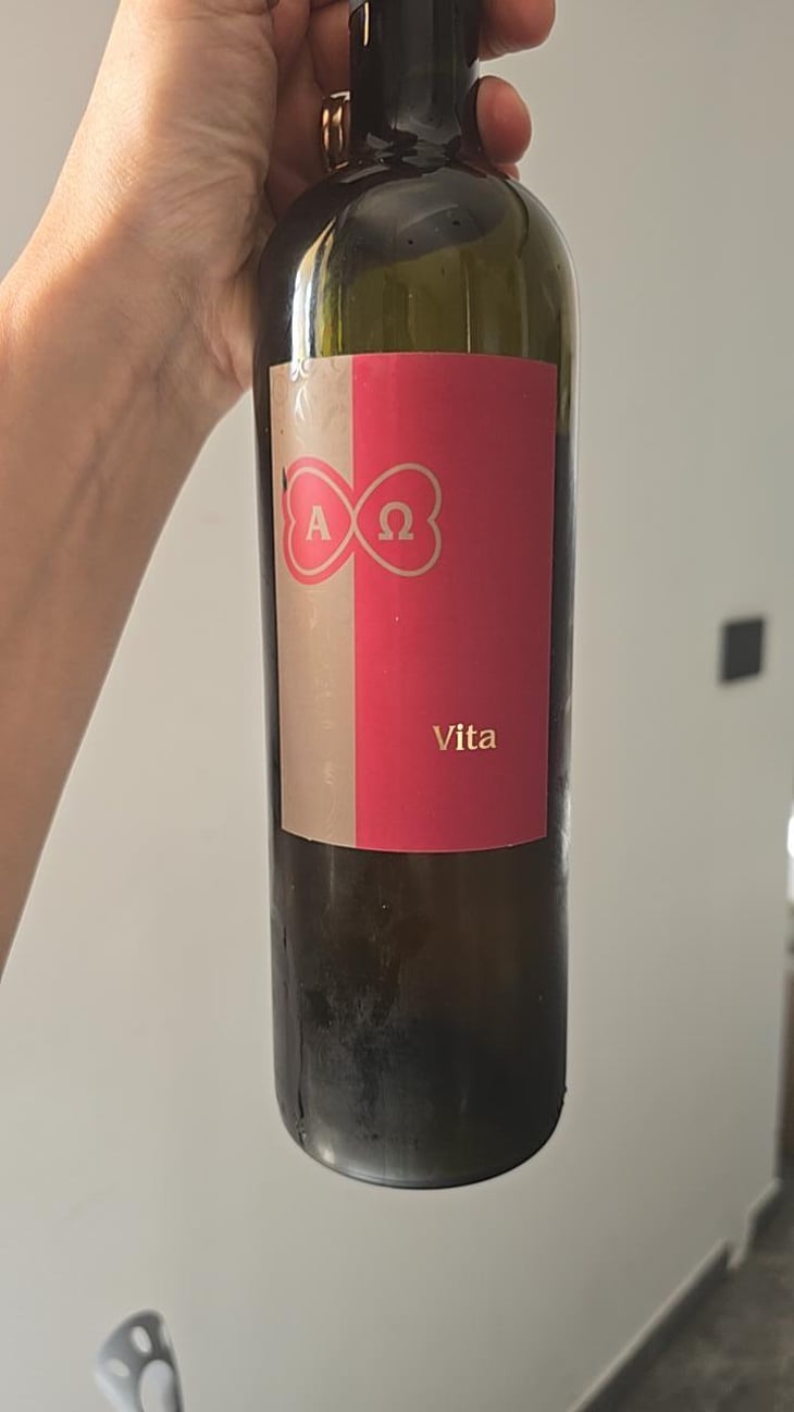 Vita 2021 - VINO PELOZ - Alano Peloz -2021