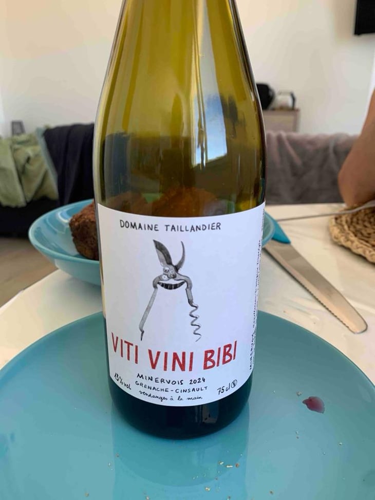 Viti Vini Bibi - Domaine Benjamin Taillandier - Benjamin Taillandier 