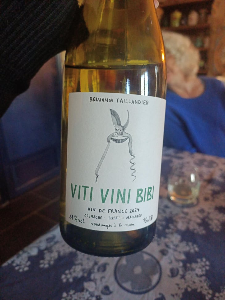 Viti Vini Bibi - Domaine Benjamin Taillandier - Benjamin Taillandier 