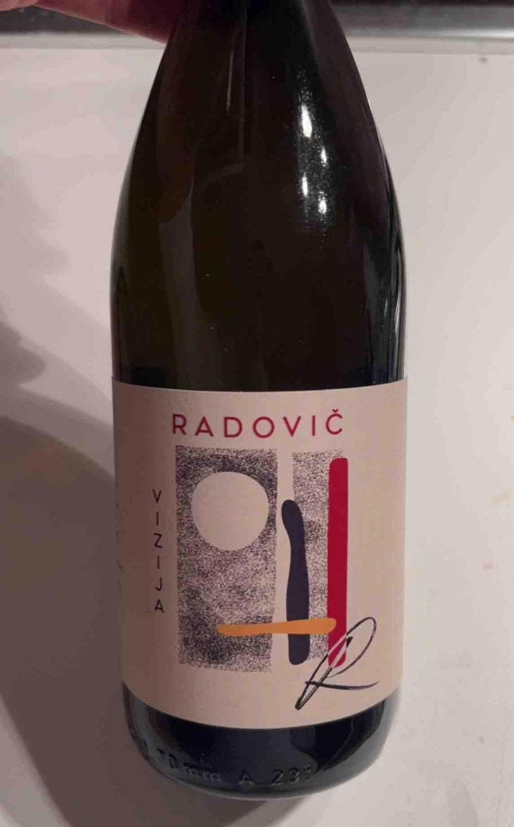 Vizija - Radovič - Peter Radovič -2022