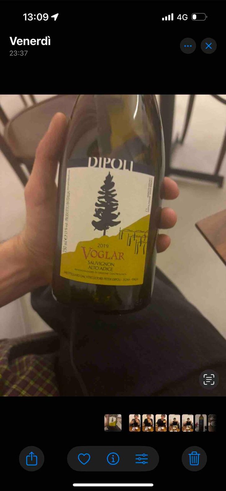 Voglar - Dipoli - Peter Dipoli -2019