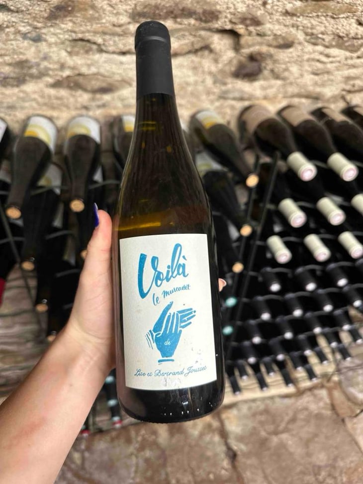 Voilà le muscadet - Domaine Jousset - Lise & Bertrand Jousset -2022