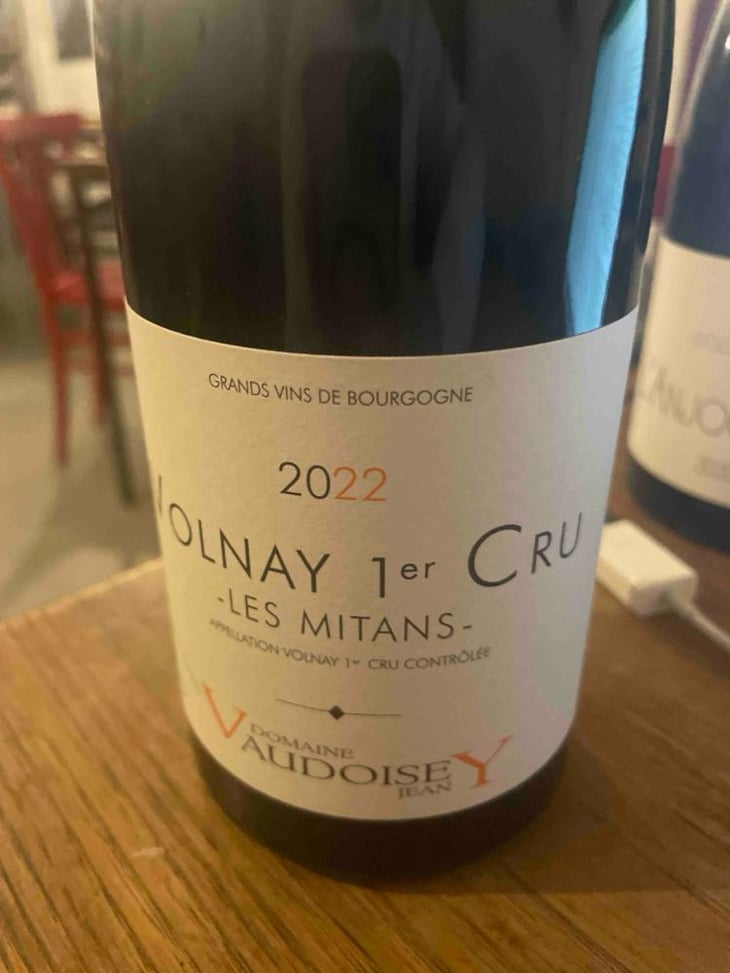 Volnay "Les Grands Champs" - Domaine Jean Vaudoisey - Jean Vaudoisey -2021