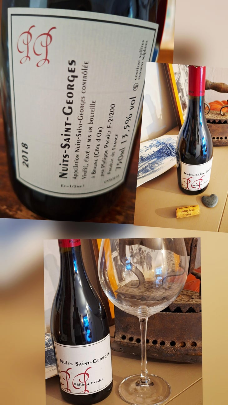 Nuits-Saint-Georges - Rouge - Philippe Pacalet - Monica et Philippe Pacalet 