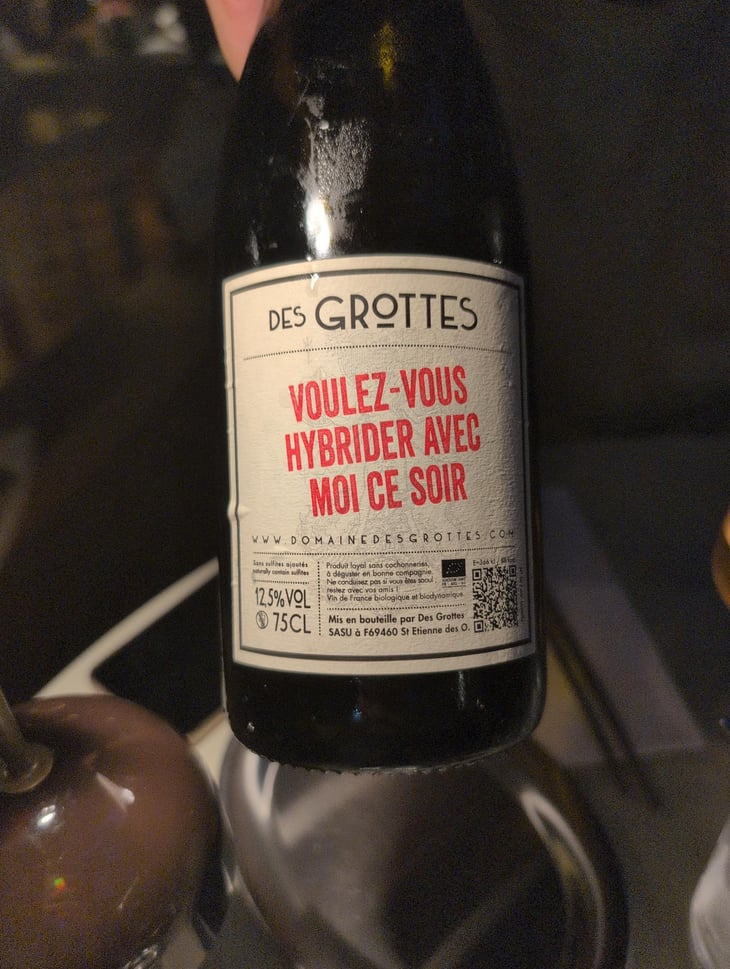 Voulez Vous Hybrider Avec Moi Ce Soir - Domaine des Grottes - Romain des Grottes -2021