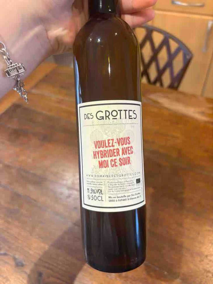 Voulez Vous Hybrider Avec Moi Ce Soir - Domaine des Grottes - Romain des Grottes -2021