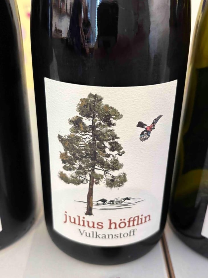 Vulkanstoff - julius höfflin - Julius Höfflin -2024