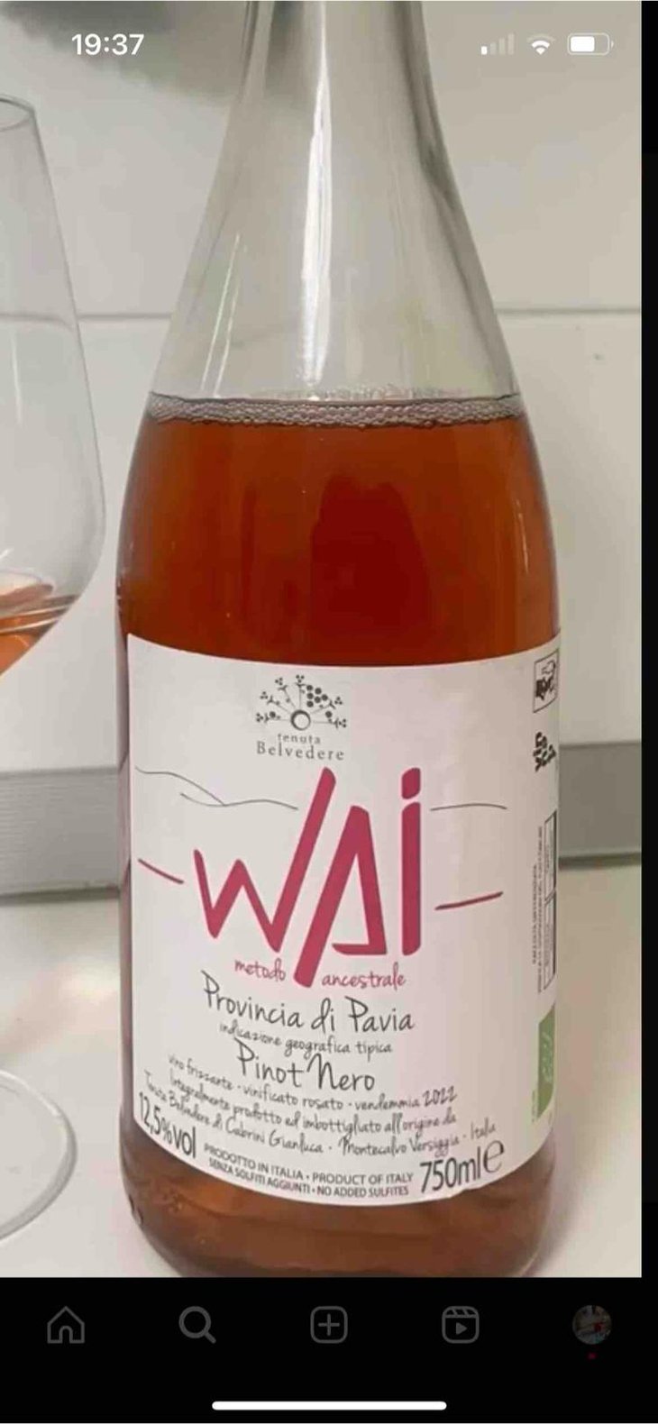 Wai Pinot Nero - Tenuta Belvedere - Gianluca Cabrini 