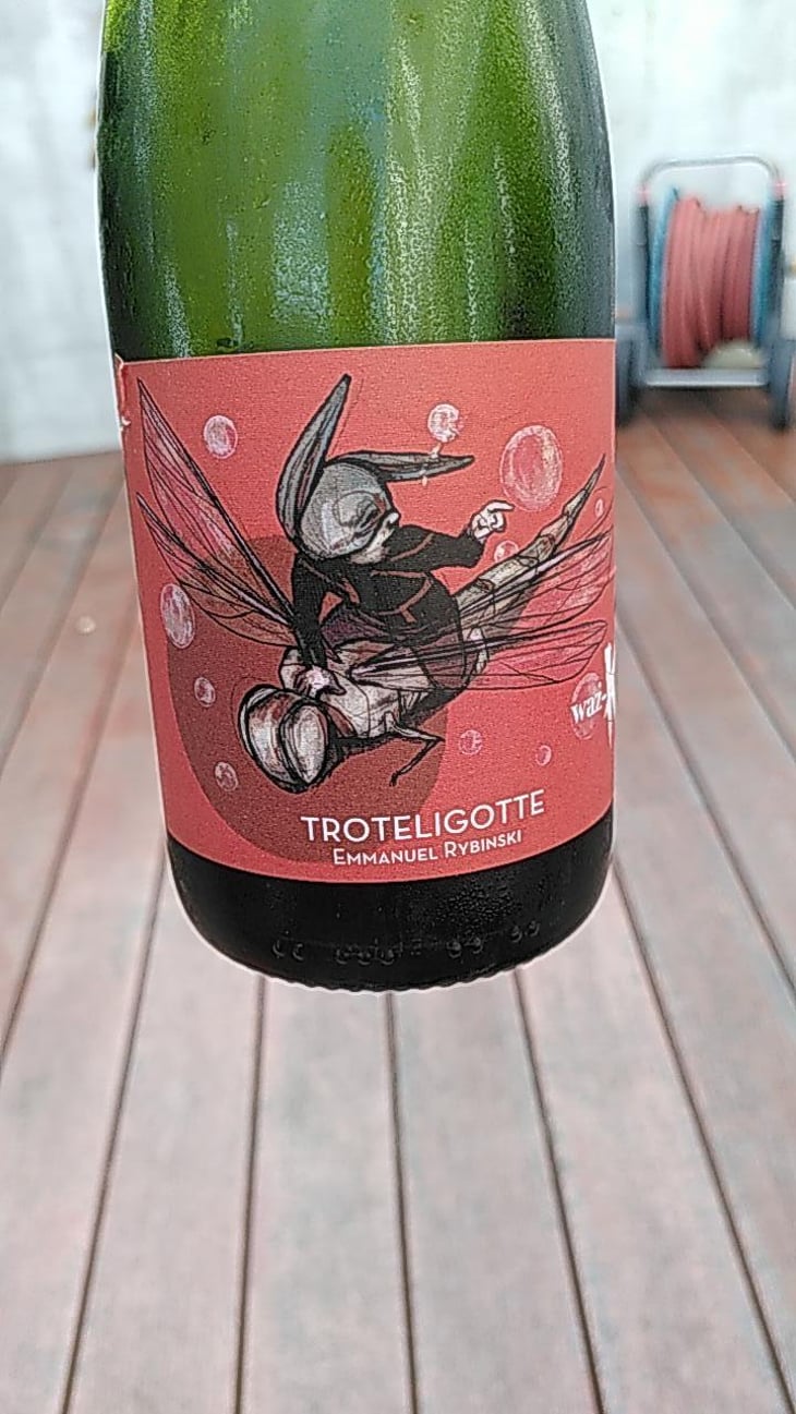 Waz-K - Clos Troteligotte - Emmanuel Rybinski 