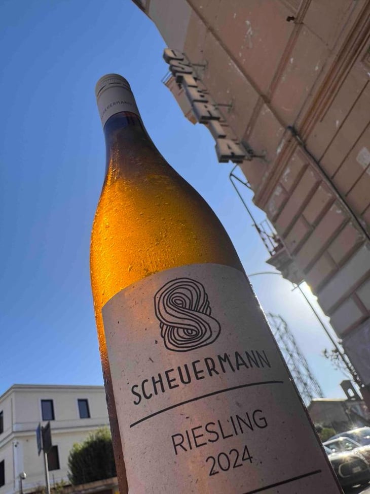 Weißburgunder Trocken - Weingut Scheuermann - Gabriel & Simon Scheuermann 