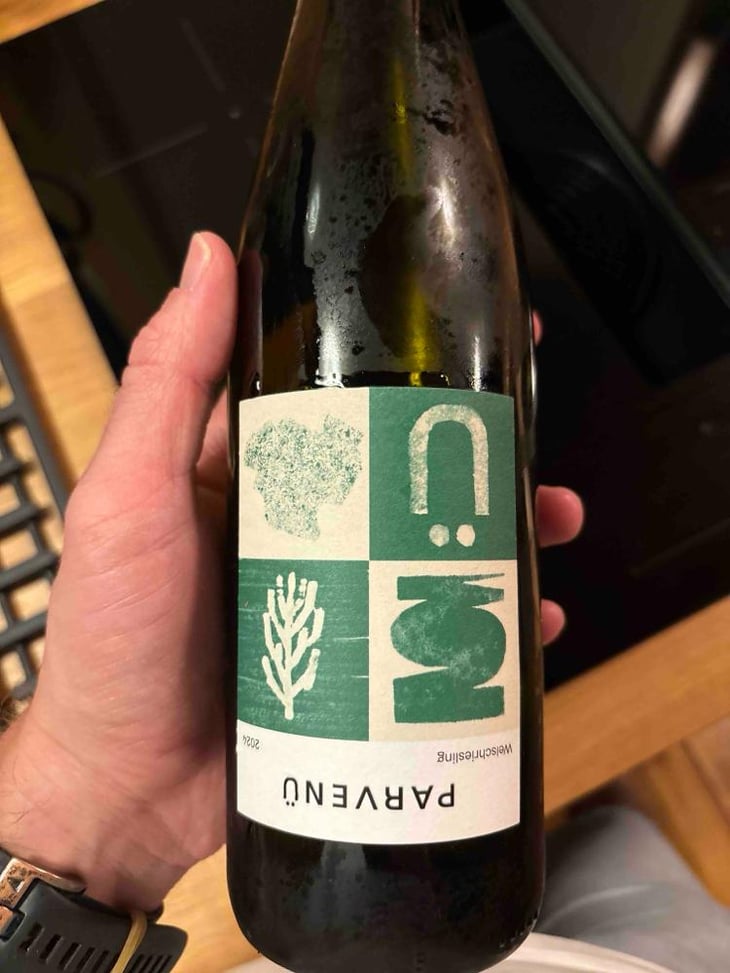 Welschriesling - Weinbau Parvenü - Parvenü -2023