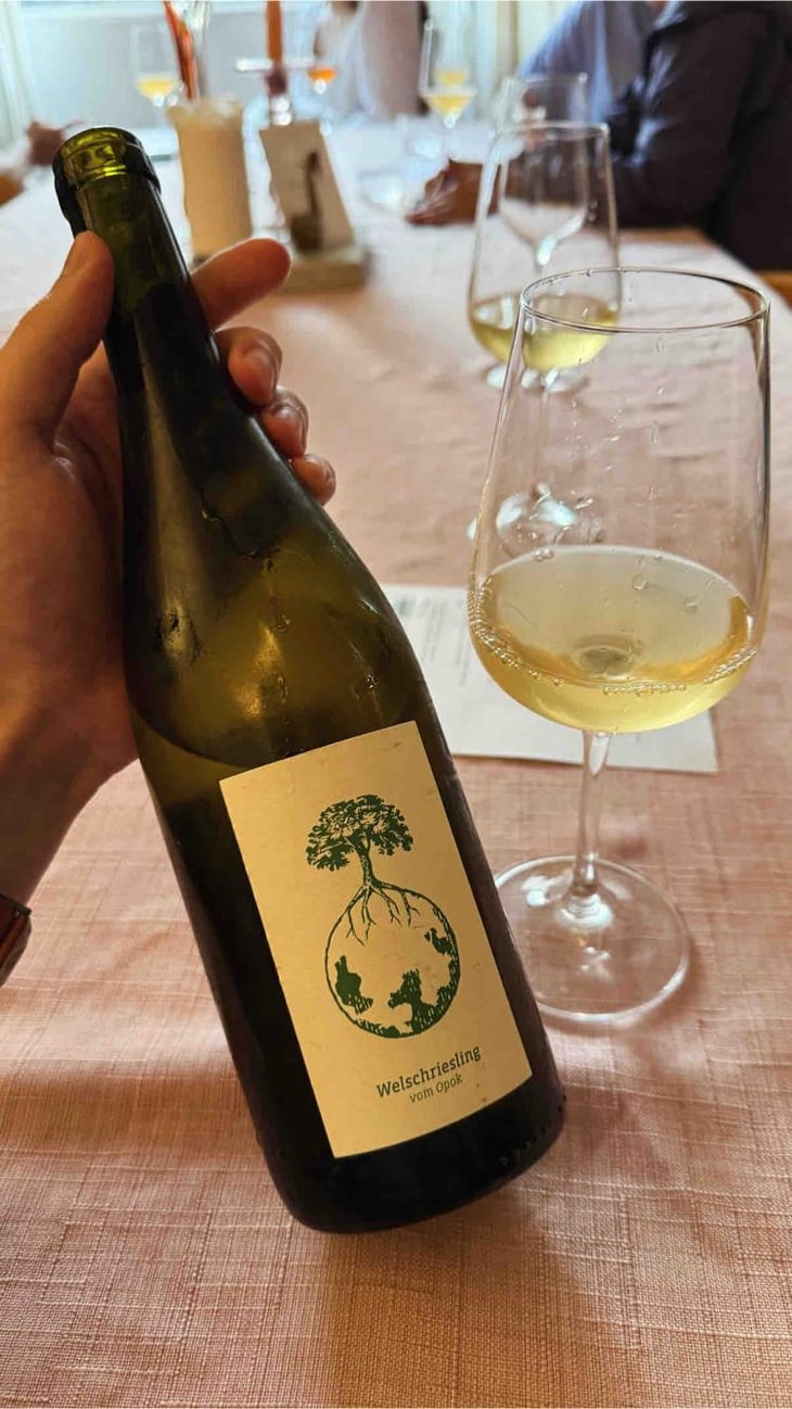 Welschriesling - Weingut Werlitsch - Ewald & Brigitte Tscheppe 