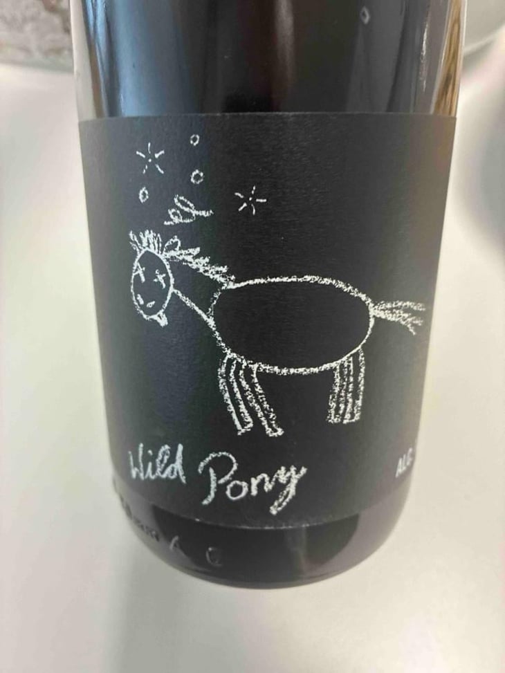 Wild Pony - Weingut Bianka und Daniel Schmitt - Daniel & Bianka Schmitt 