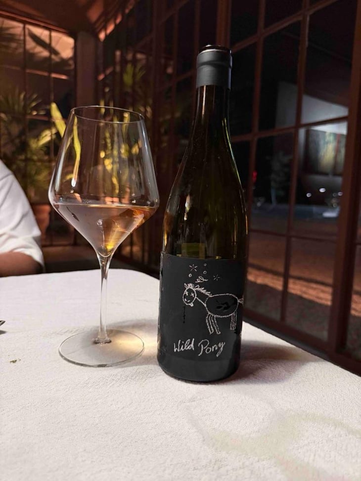 Wild Pony - Weingut Bianka und Daniel Schmitt - Daniel & Bianka Schmitt 