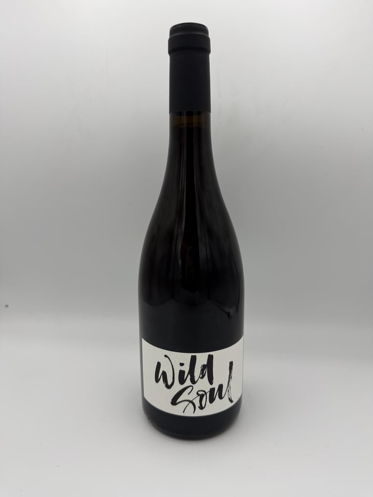 Wild Soul - Julien Sunier - Julien Sunier 