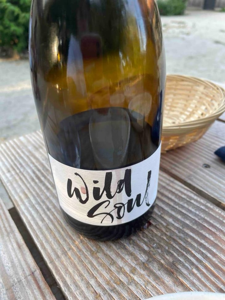 Wild Soul - Julien Sunier - Julien Sunier 