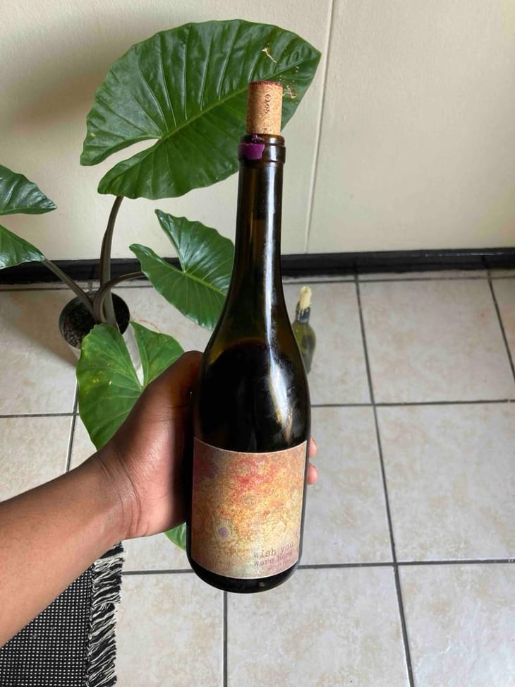 Wish You Were Here - ( l )equinox wines - MC Stander 