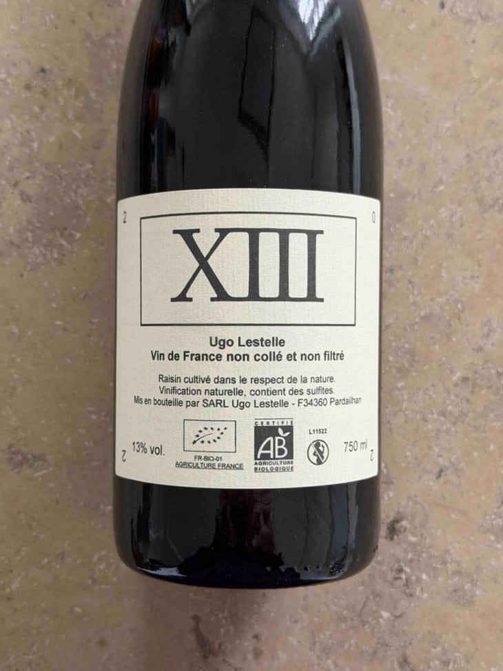 XIII - Ugo Lestelle - Ugo Lestelle -2020