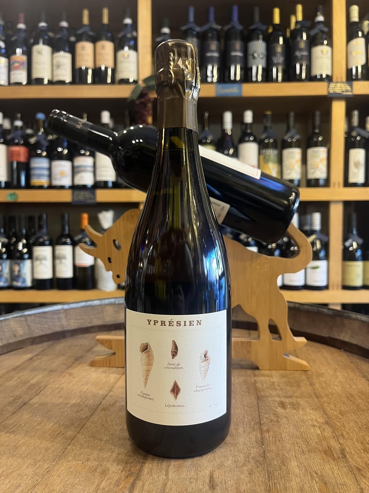 Ypresien - Champagne Legrand-Latour - Thibault Legrand 