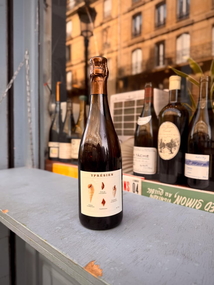 Ypresien - Champagne Legrand-Latour - Thibault Legrand 