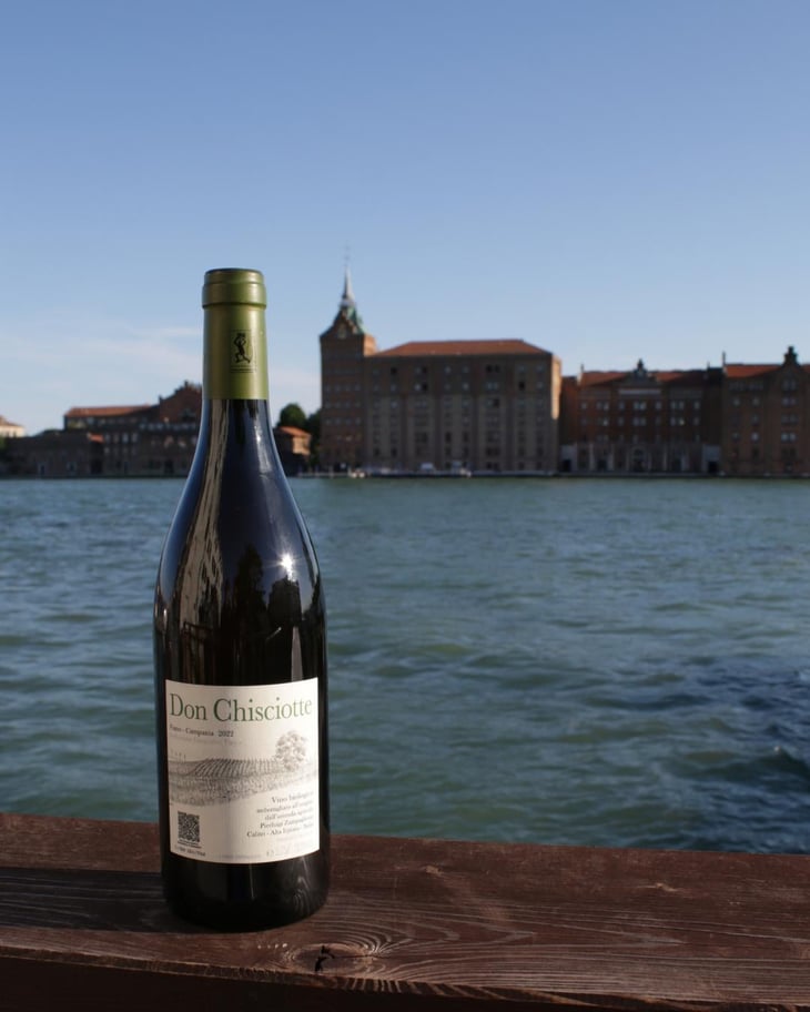 Zampaglione Don Chisciotte Fiano - Azienda Agricola Pierluigi Zampaglione - Pierluigi Zampaglione -2019